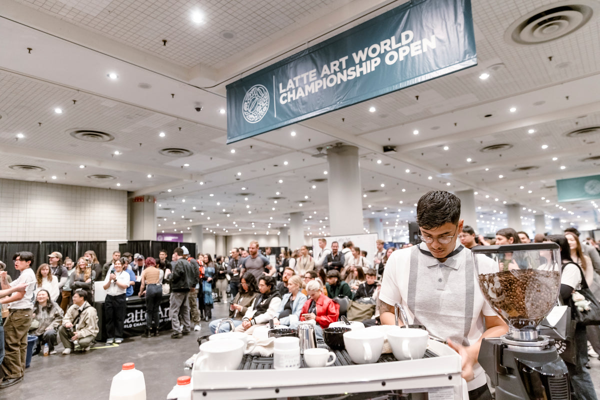 Coffee Fest Throwdowns